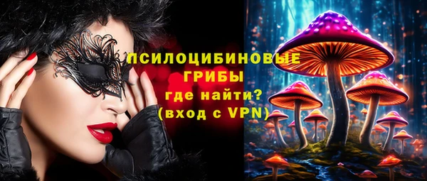не бодяженный Арсеньев