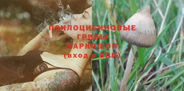 не бодяженный Арсеньев