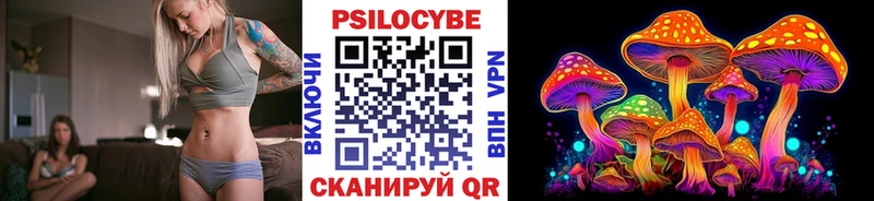 Псилоцибиновые грибы ЛСД  MEGA онион  Курлово 
